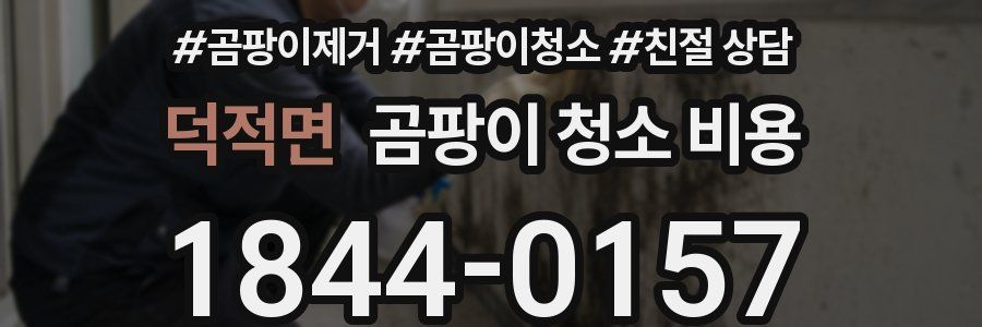 덕적면 곰팡이 청소 비용