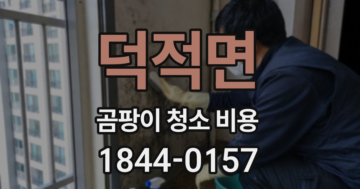 덕적면 곰팡이 청소 비용