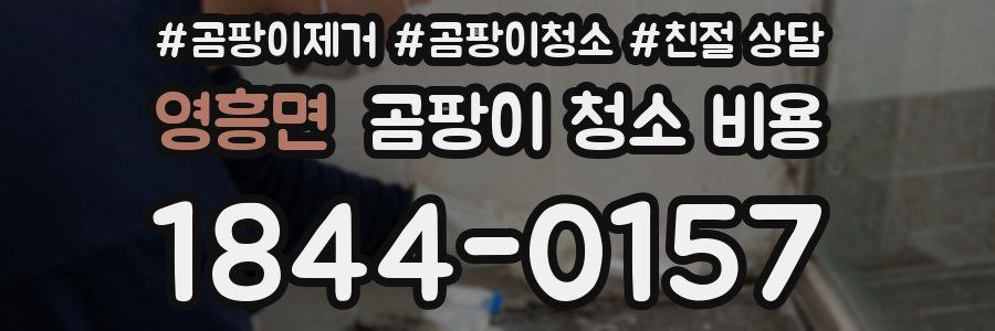영흥면 곰팡이 청소 비용