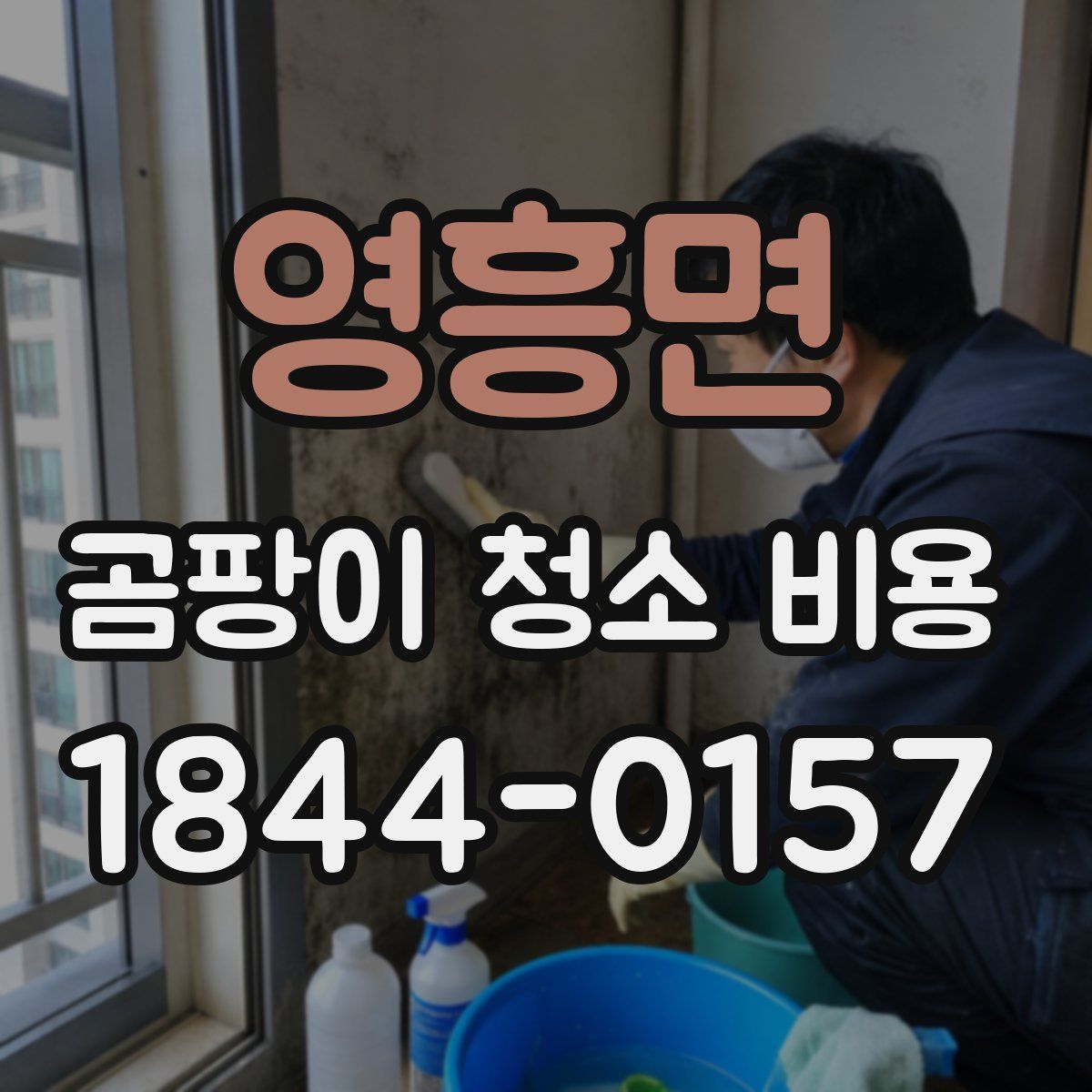 영흥면 곰팡이 청소 비용