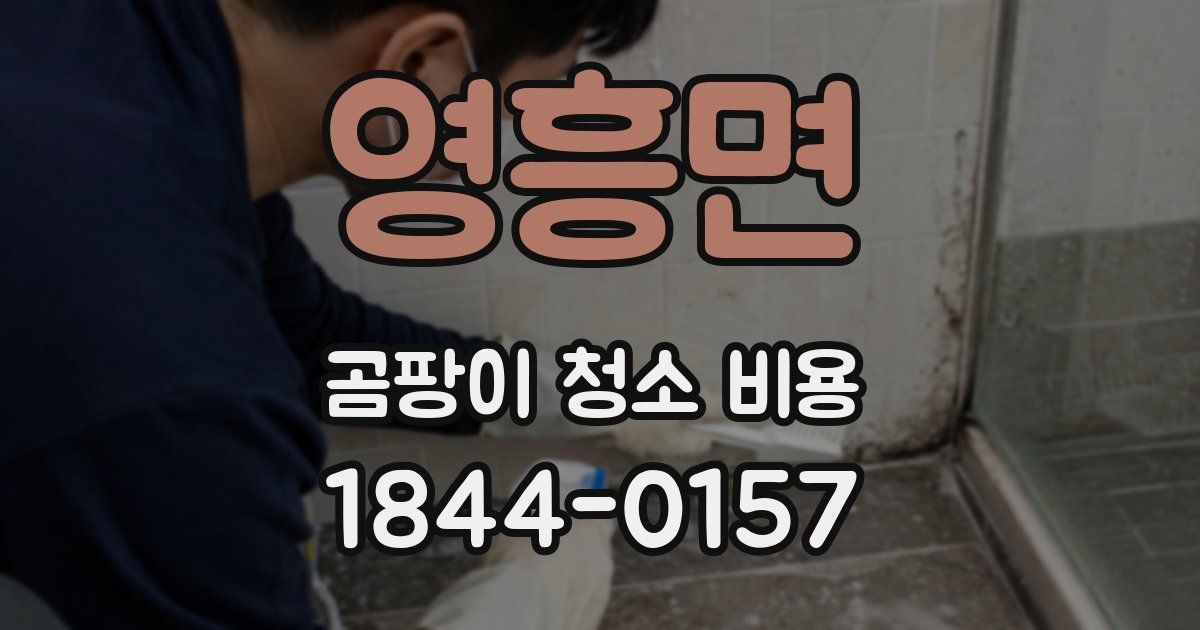 영흥면 곰팡이 청소 비용