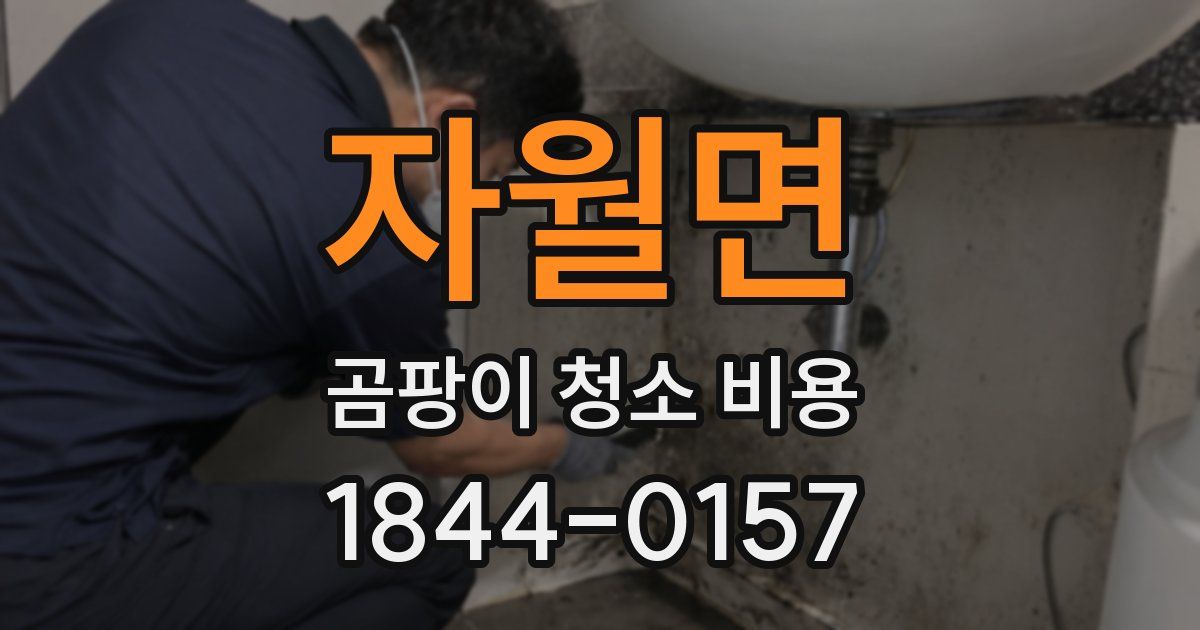 자월면 곰팡이 청소 비용
