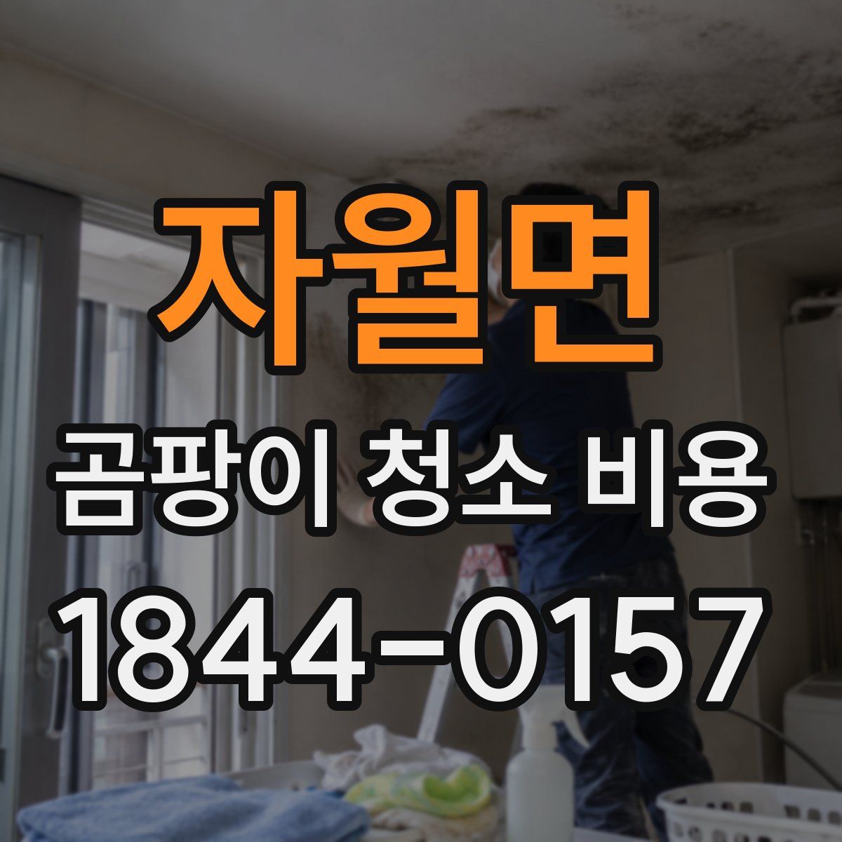 자월면 곰팡이 청소 비용