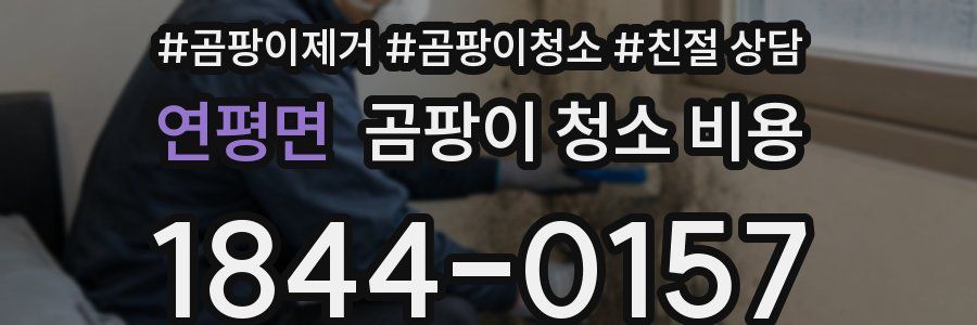연평면 곰팡이 청소 비용
