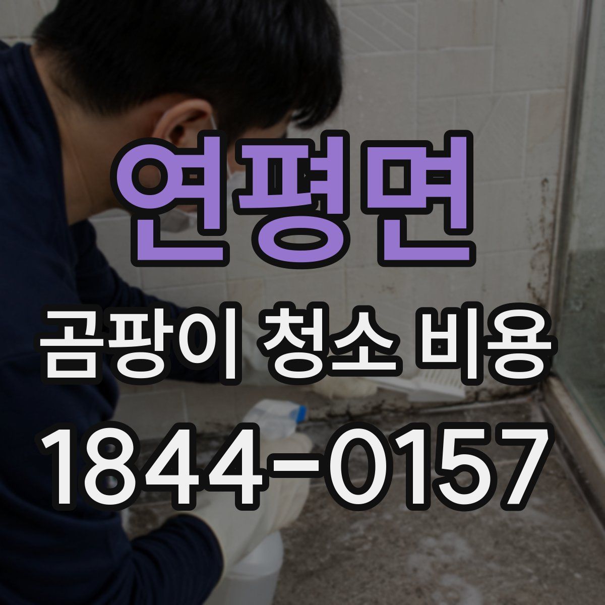 연평면 곰팡이 청소 비용