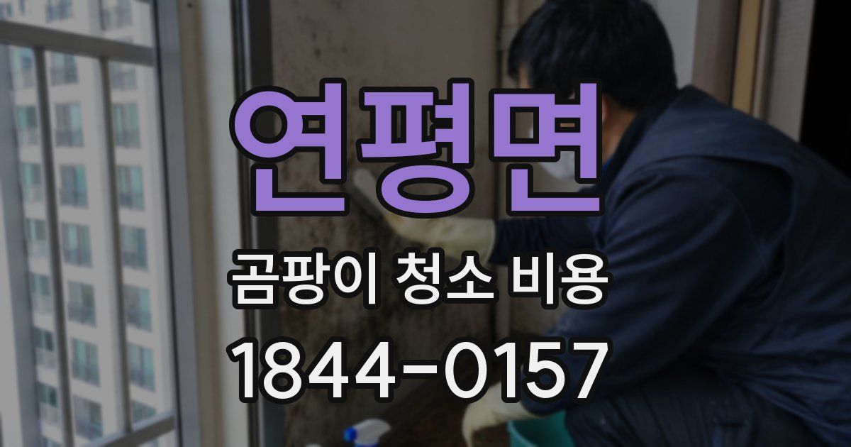 연평면 곰팡이 청소 비용
