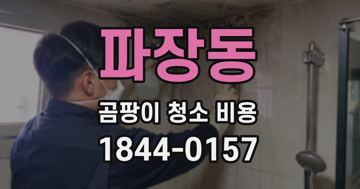 파장동 곰팡이 청소 비용
