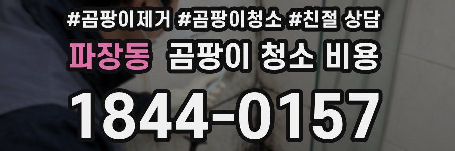 파장동 곰팡이 청소 비용