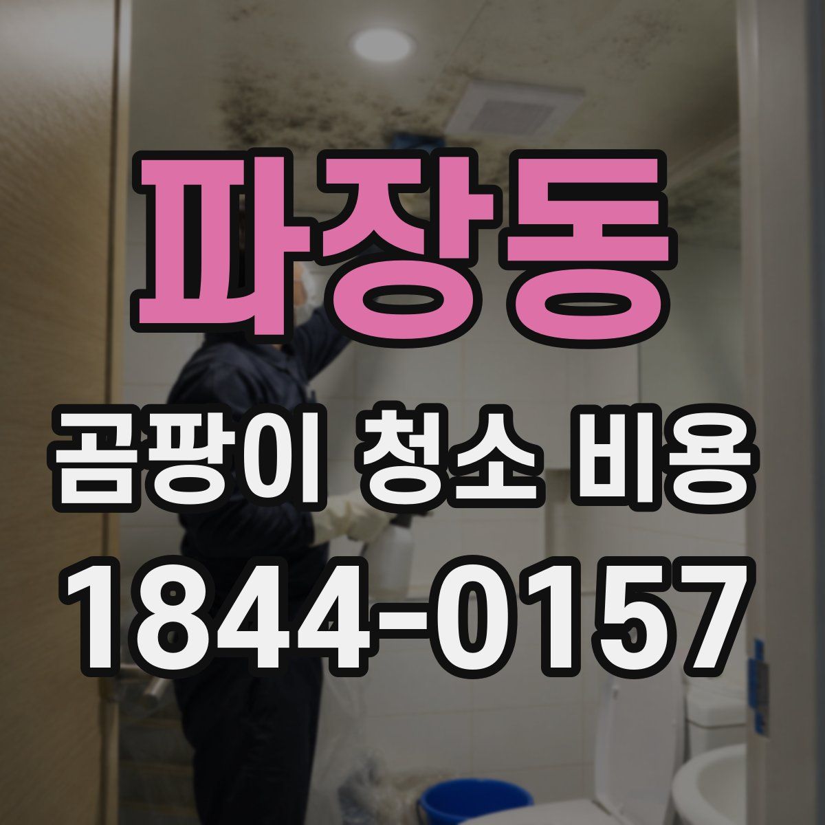 파장동 곰팡이 청소 비용