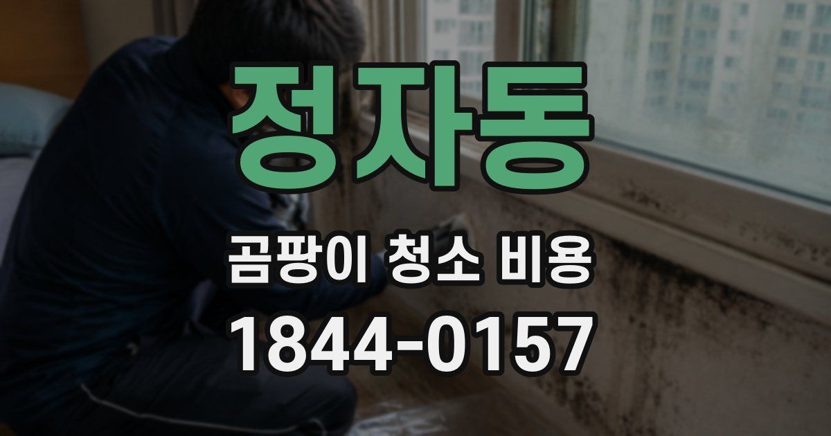 정자동 곰팡이 청소 비용