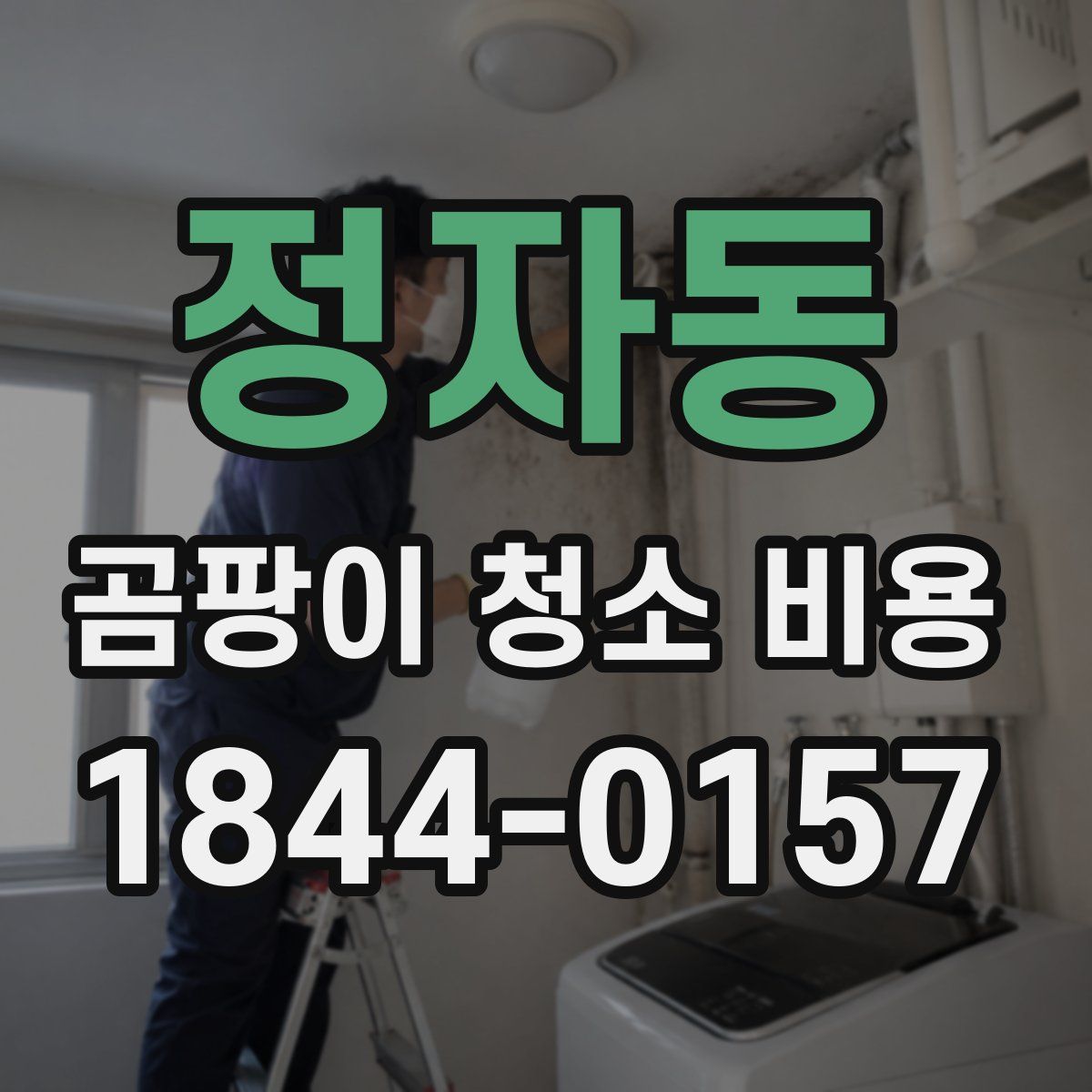 정자동 곰팡이 청소 비용