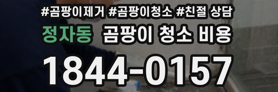 정자동 곰팡이 청소 비용