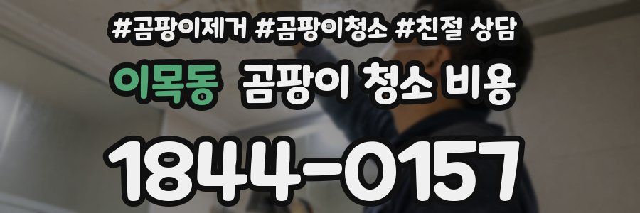 이목동 곰팡이 청소 비용