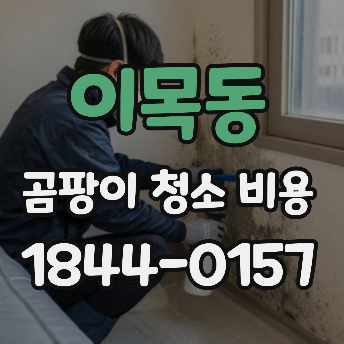 이목동 곰팡이 청소 비용