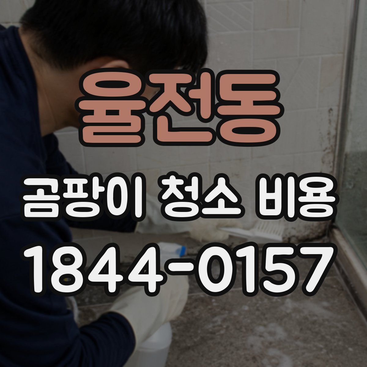 율전동 곰팡이 청소 비용