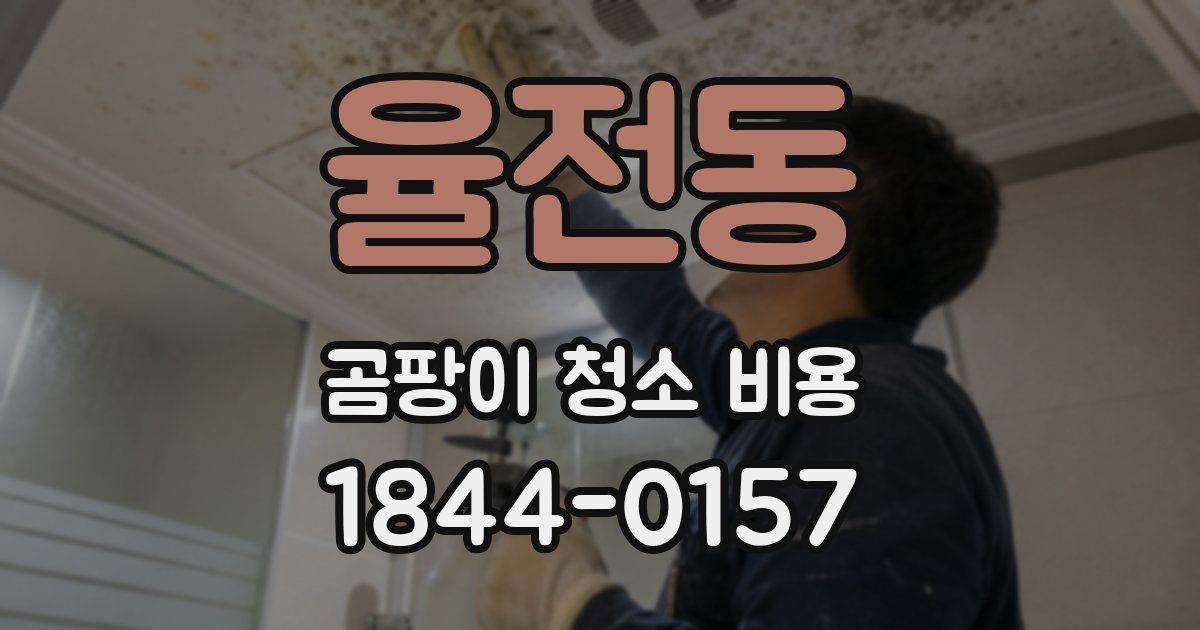 율전동 곰팡이 청소 비용