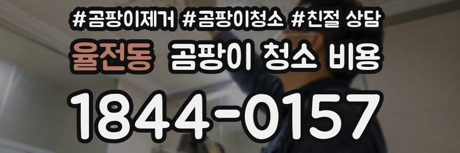 율전동 곰팡이 청소 비용