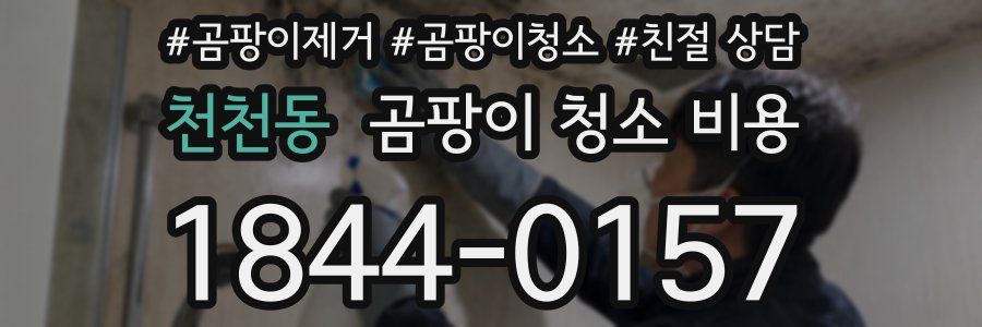 천천동 곰팡이 청소 비용