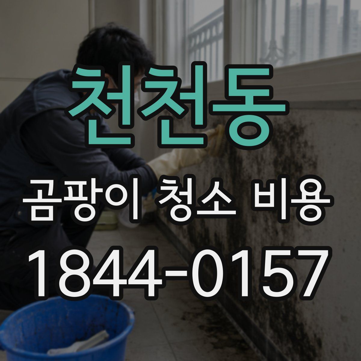 천천동 곰팡이 청소 비용