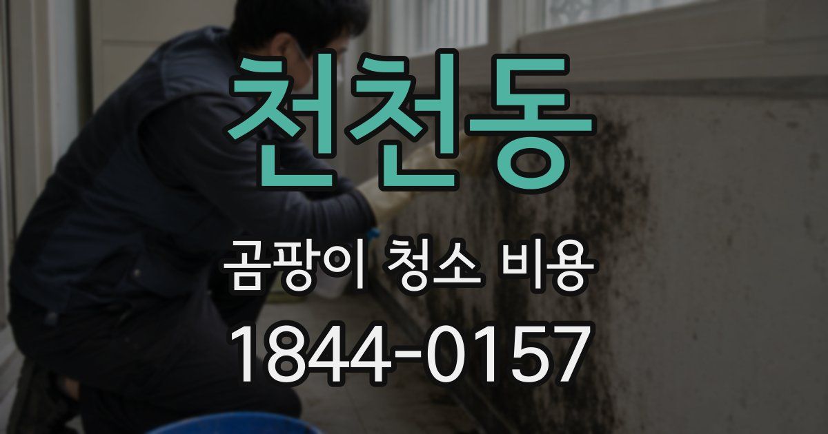 천천동 곰팡이 청소 비용