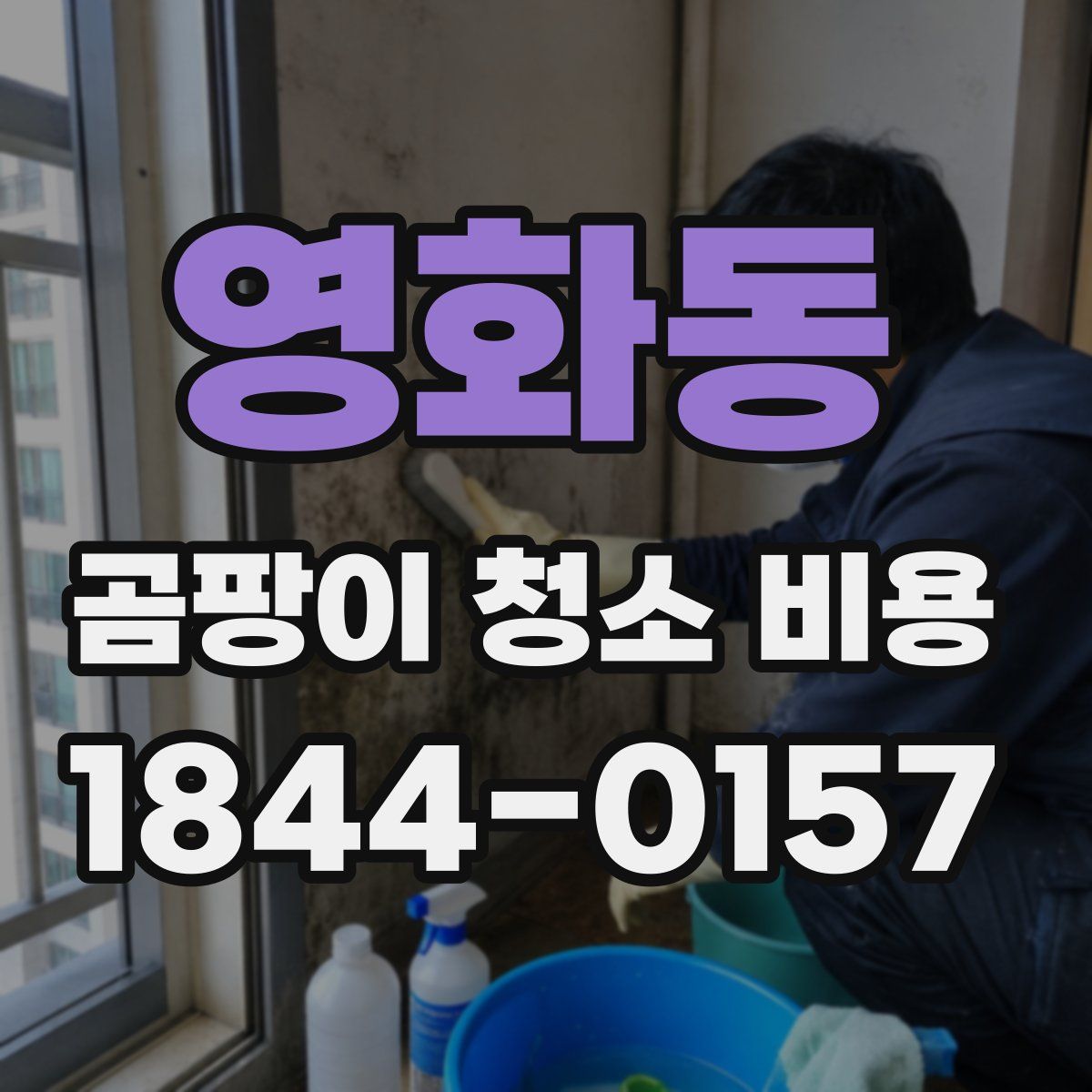 영화동 곰팡이 청소 비용