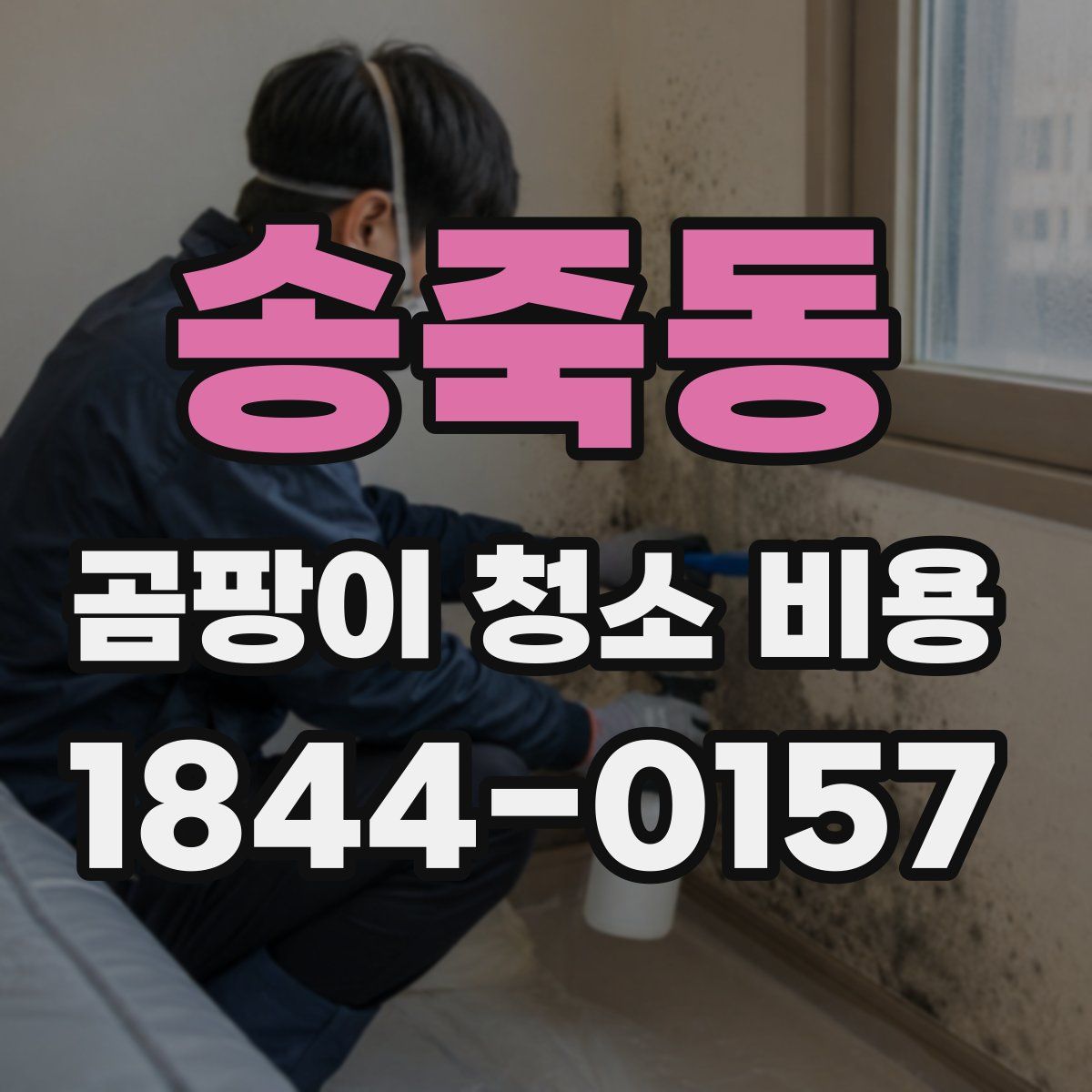 송죽동 곰팡이 청소 비용