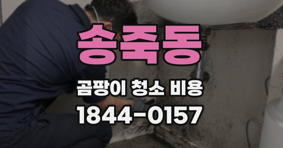 송죽동 곰팡이 청소 비용