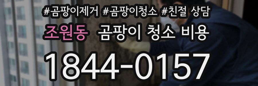 조원동 곰팡이 청소 비용
