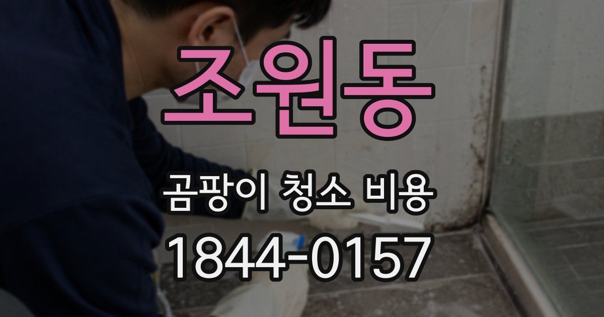 조원동 곰팡이 청소 비용