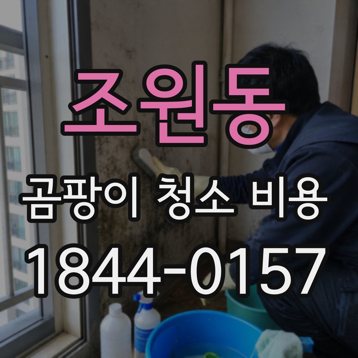 조원동 곰팡이 청소 비용