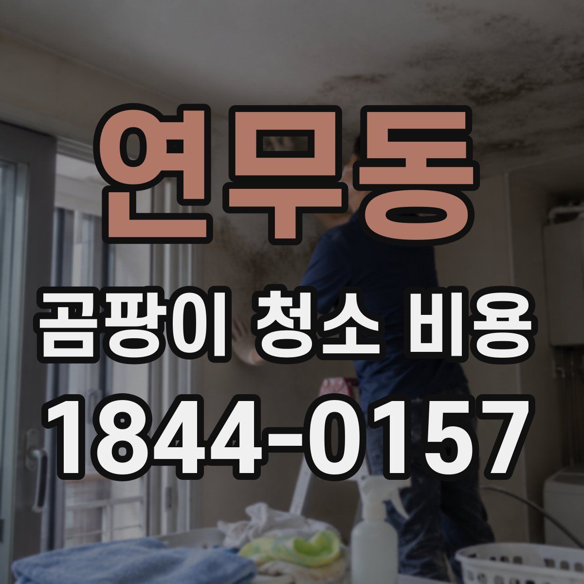 연무동 곰팡이 청소 비용