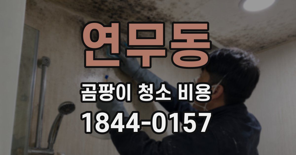 연무동 곰팡이 청소 비용