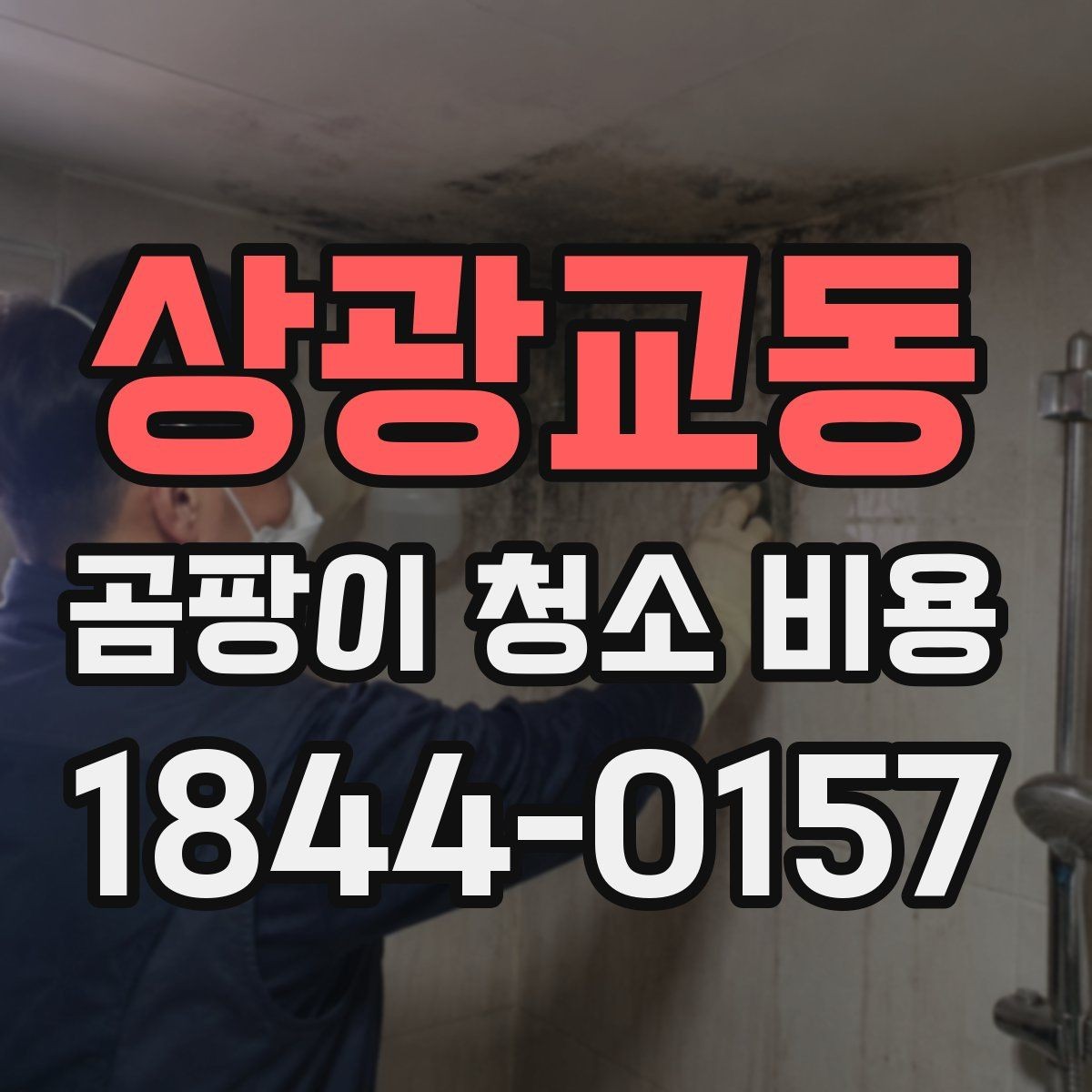 상광교동 곰팡이 청소 비용 문의 시 피해야 할 실수