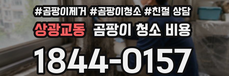 상광교동 곰팡이 청소 비용