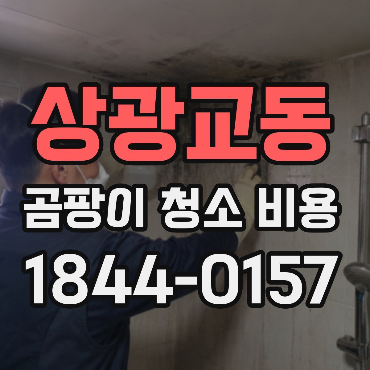 상광교동 곰팡이 청소 비용