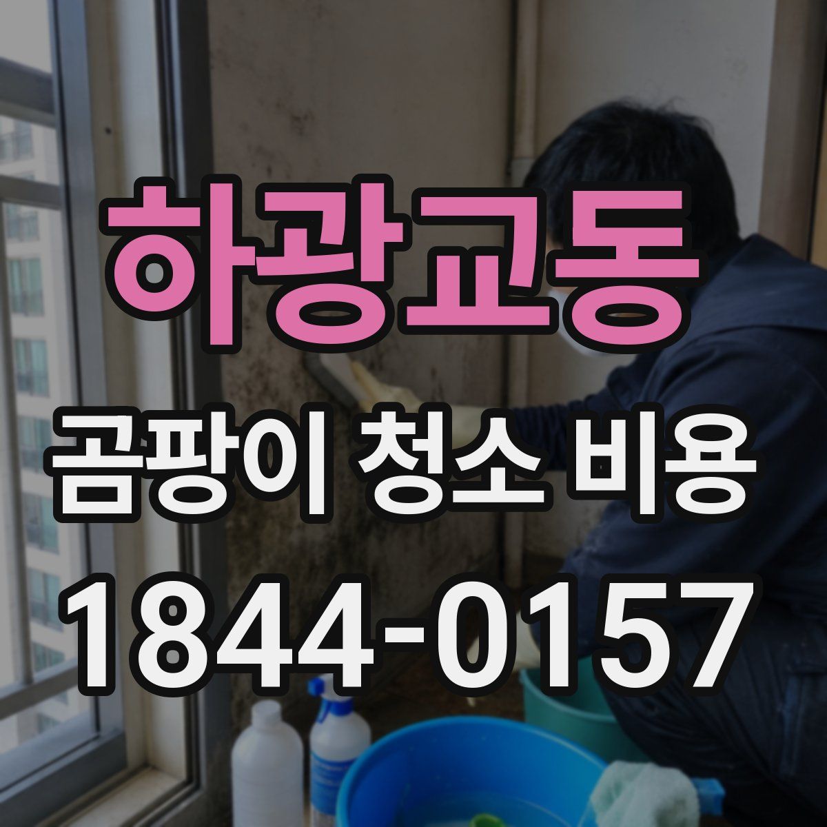 하광교동 곰팡이 청소 비용