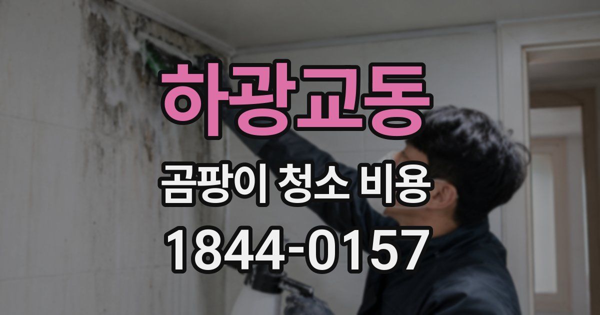 하광교동 곰팡이 청소 비용