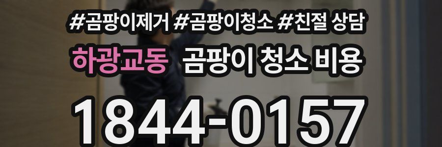 하광교동 곰팡이 청소 비용
