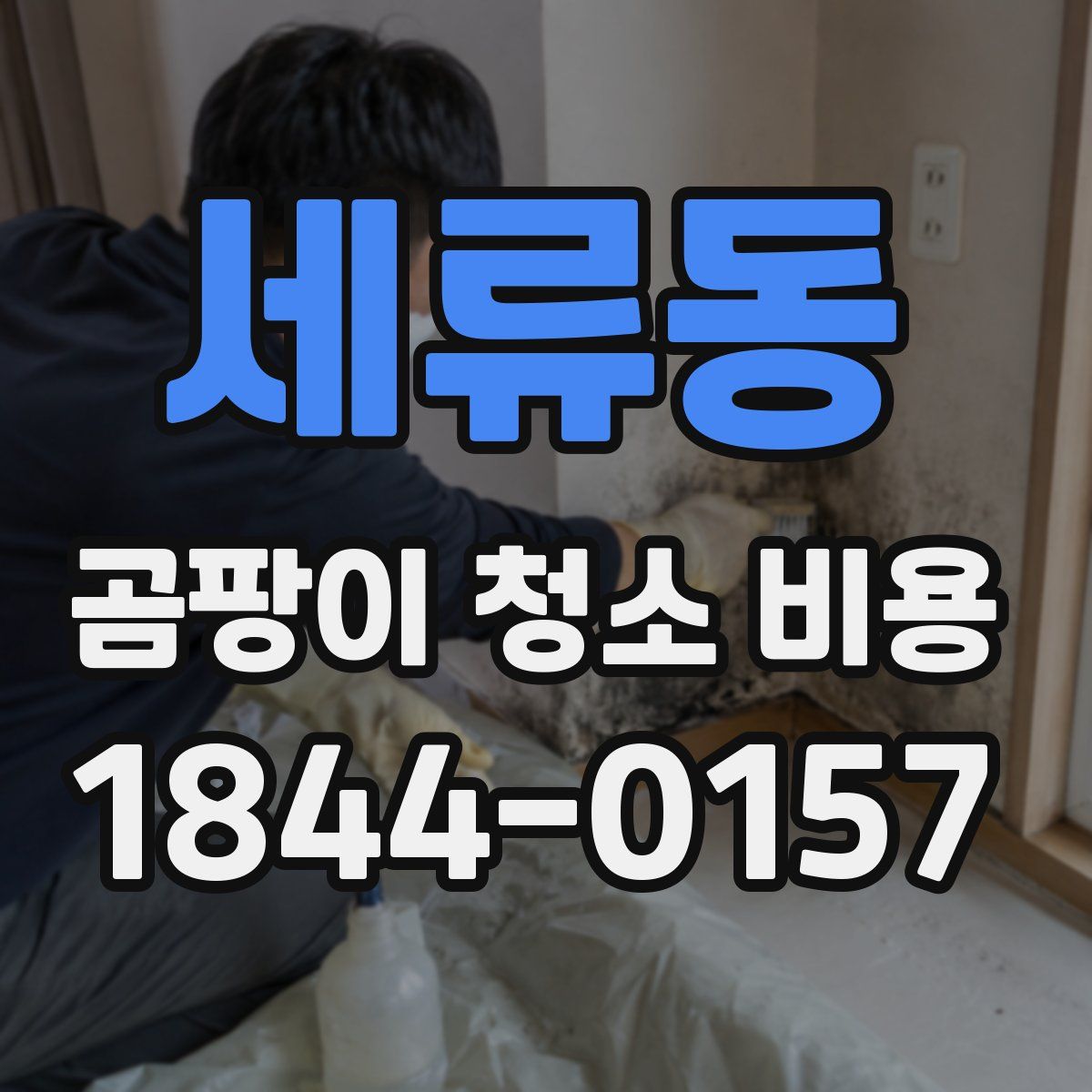 세류동 곰팡이 청소 비용