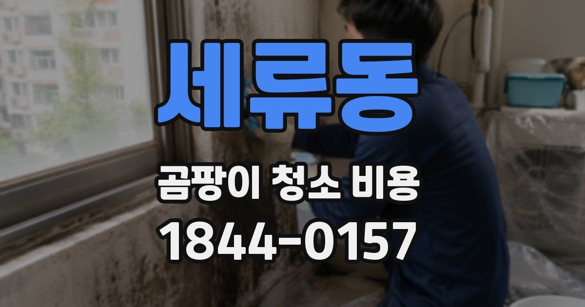 세류동 곰팡이 청소 비용