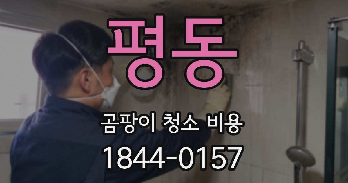 평동 곰팡이 청소 비용