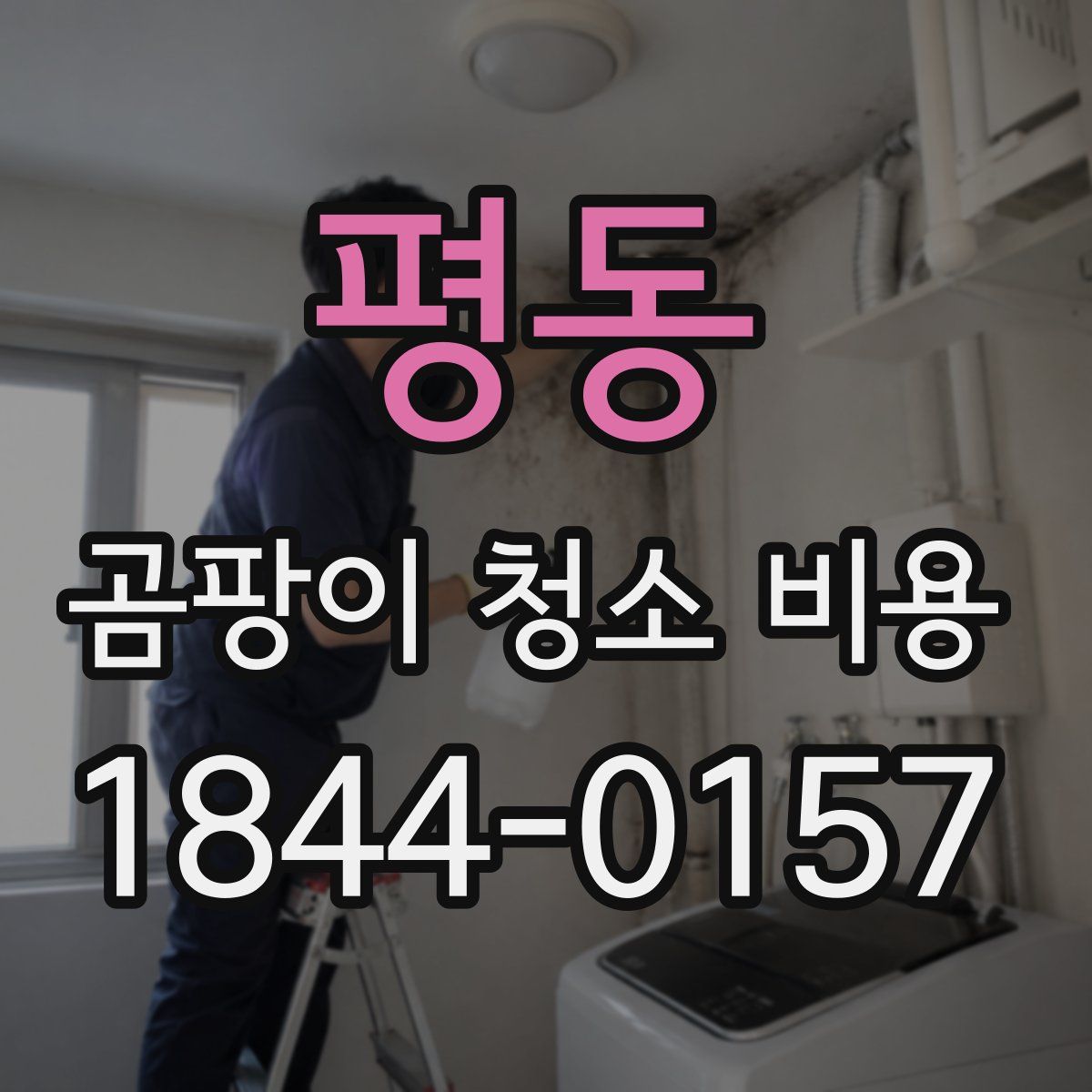 평동 곰팡이 청소 비용