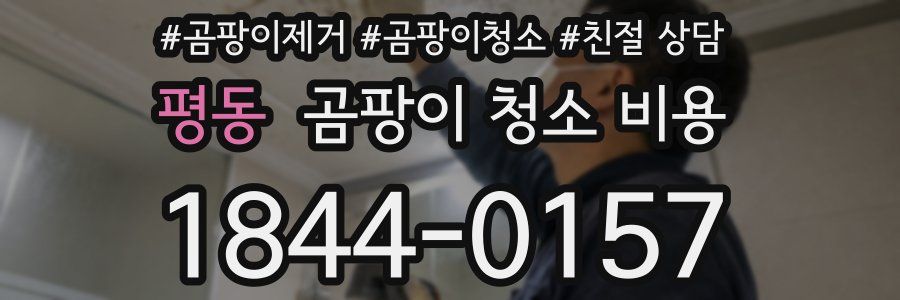 평동 곰팡이 청소 비용