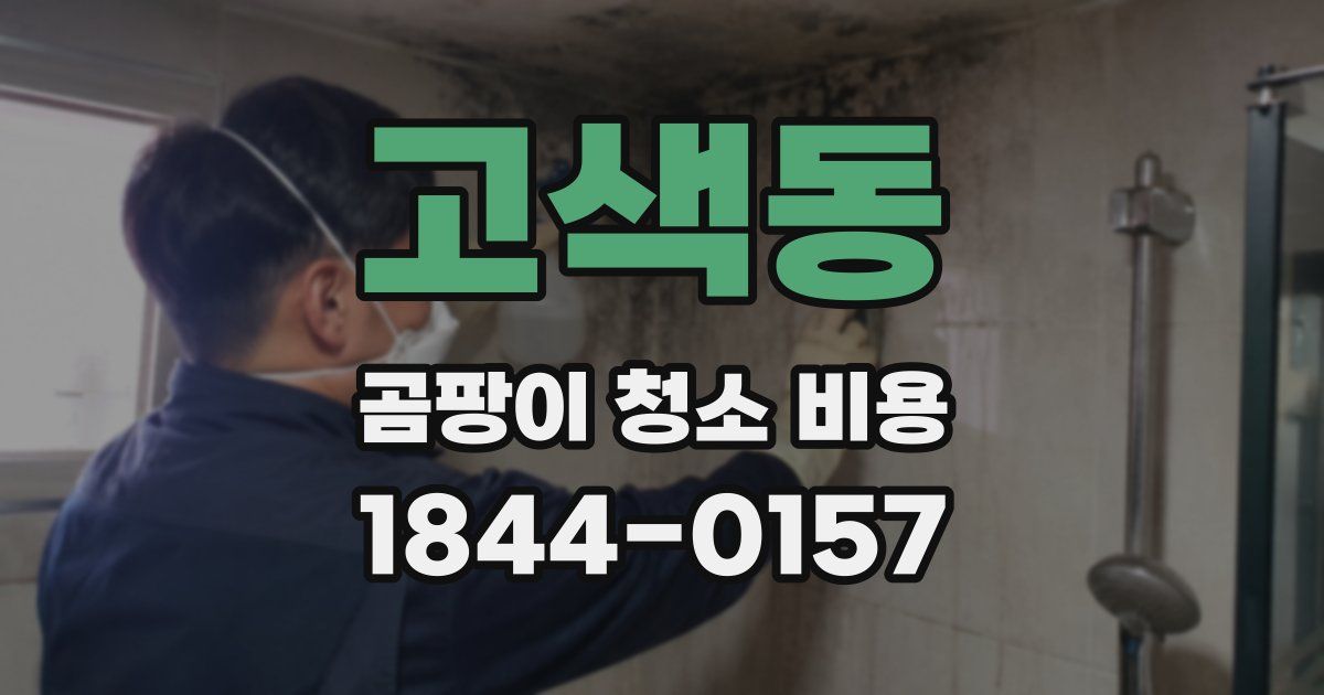 고색동 곰팡이 청소 비용