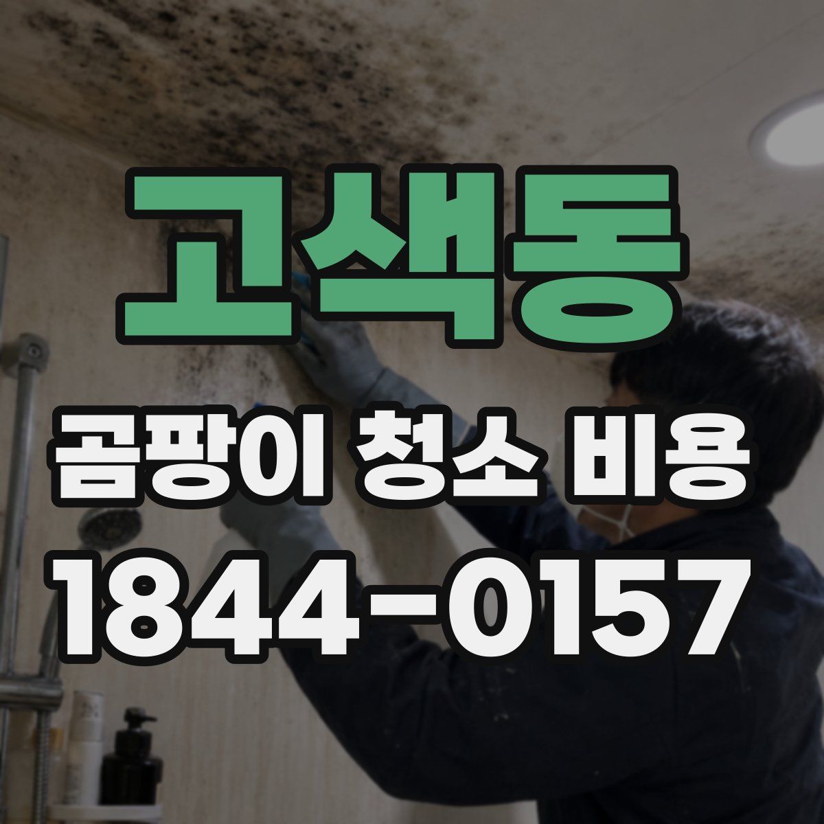 고색동 곰팡이 청소 비용