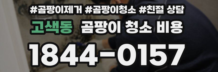 고색동 곰팡이 청소 비용