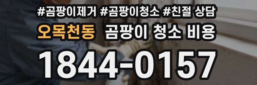 오목천동 곰팡이 청소 비용