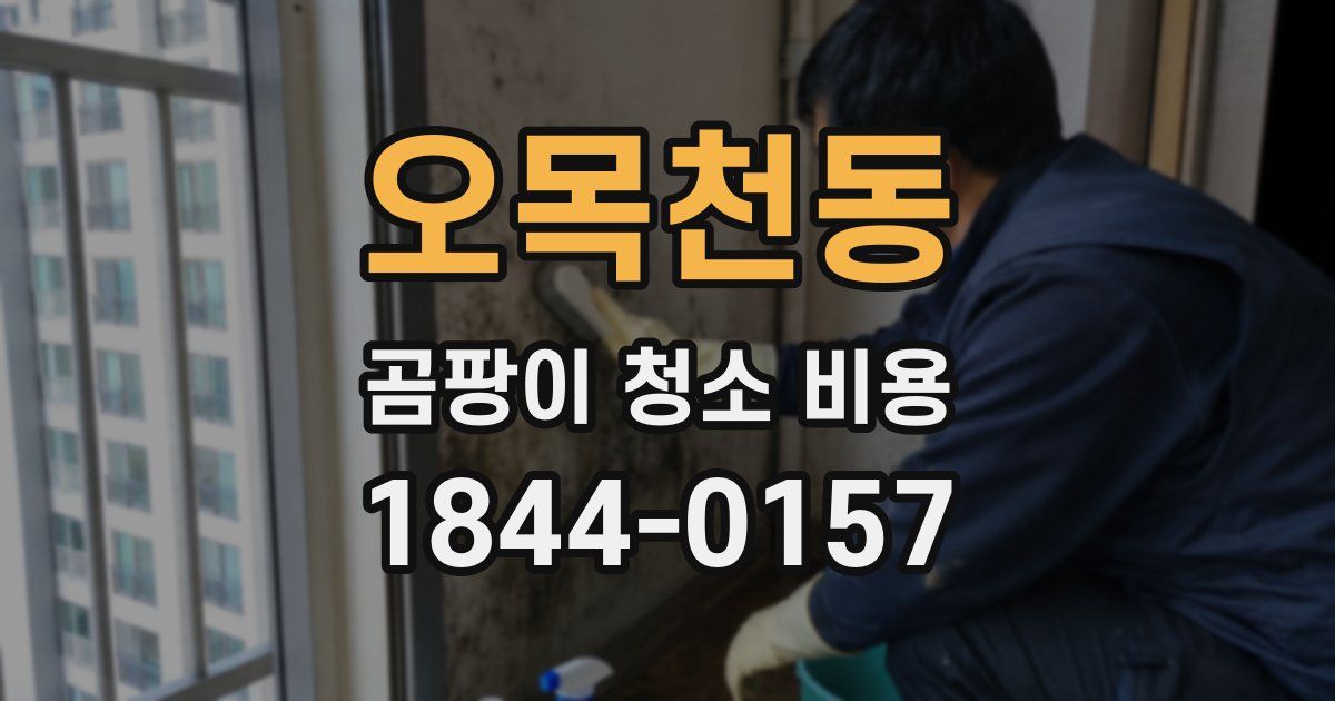오목천동 곰팡이 청소 비용