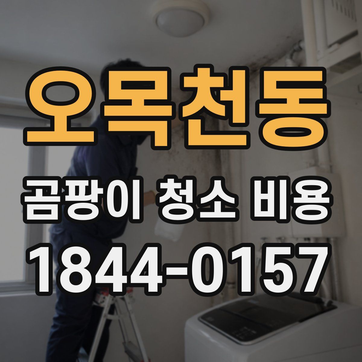 오목천동 곰팡이 청소 비용