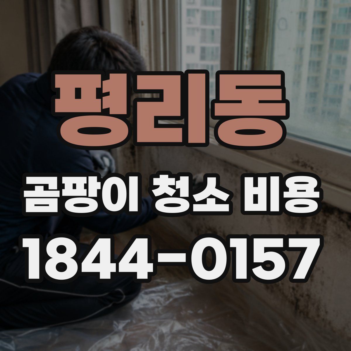 평리동 곰팡이 청소 비용